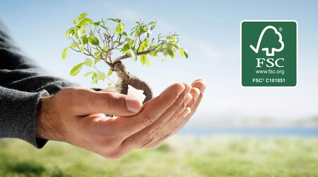 FSC®-Zertifizierung Artikel FSC®-Zertifizierung